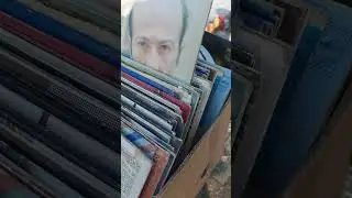 Будни Воронежской блохи 