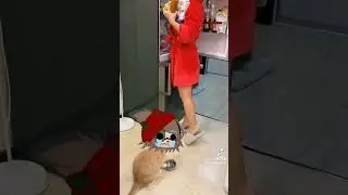 Если Ису не покормить...