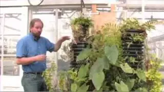 Robert Cameron investigates biofilters to clean dirty water