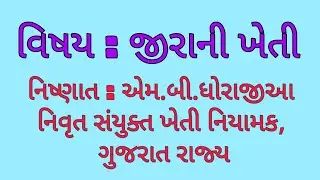 જીરુંની ખેતી l jira ki kheti l agriculture l kheti l