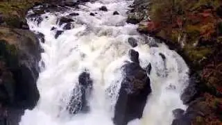 Autumn at the Falls of Braan 2