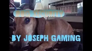 Dog security