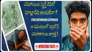 Top 5 Mind-Blowing Facts about 