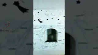 Дворец Константина Эдуардовича🐾
