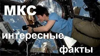 All the most interesting things about the ISS | International Space Station