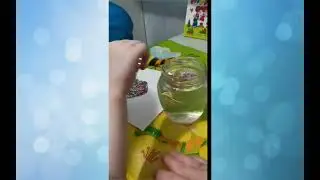 Мастер-класс 