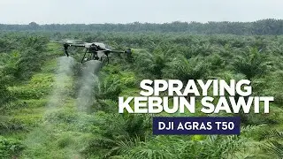 DJI Agras untuk Perkebunan Kelapa Sawit PTPN IV