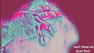 Riley Boss - Can't Move On
