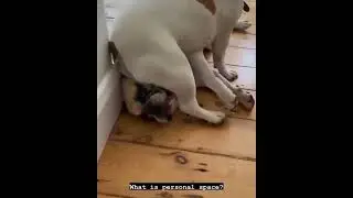 what is personal space ?
