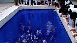 This Pool Should Not Exist vs vs Asphalt 9