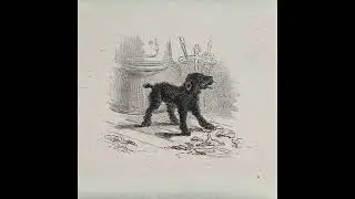 Black Hound Full Album