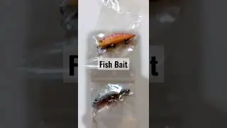 #trendingshorts #shortvideo #trendchallenge #fishbait