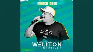 Quem É Seu Favorito