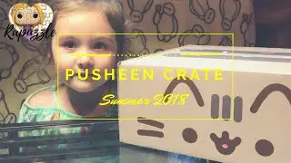 Pusheen Summer 2018 Box