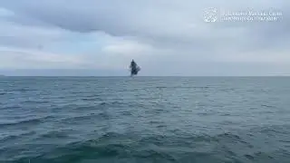 ВМС ЗСУ опублікували відео знищення дрейфуючої міни біля одного з пляжів Одеси