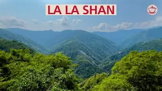 Tea and Nature in Taiwan: Appreciating Beauty in La La Shan