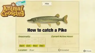 How to Catch A Pike In Animal Crossing New Horizons!