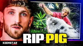 Logan Paul Left his Pig to Die! - MrBeast's Chris & Andrew Tate!