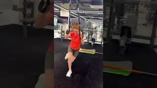 GTFIT expert 2
