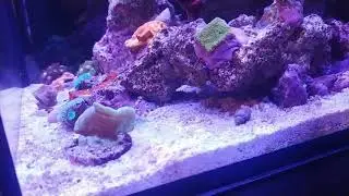 Rico's Nano Challenge 2018