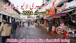 Nathia gali live snowfall today | Murree live today | #murree #nathiagali #snowfall #2024