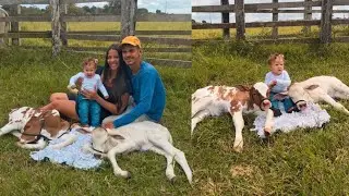 Fomos tirar Foto  Na Fazenda🐄🐎🐓 😱Tiramos Fotos  Com  Os Bezerros  😱