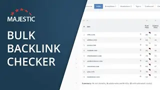 Bulk Backlink Checker (2023)