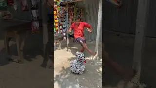 Kutta Ka Saath Sab Log Asa He Karta Hai 🙄😂😁 