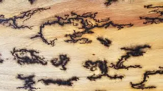 No deja de SORPRENDERME!!!😃 Rayos de Lichtenberg!