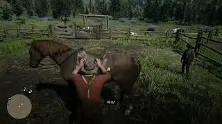 Epilogue (RDR2, ep. 13)