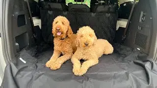 Heavy Duty Cargo Liner Install & Review