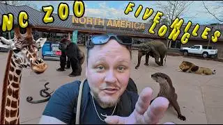 NC ZOO Tour - Five Mile Long ZOO - Asheboro, NC - Travel Vlog