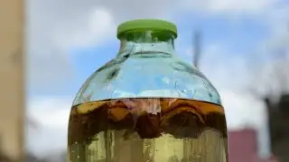 Домашний самогон. Делаем простую настойку.