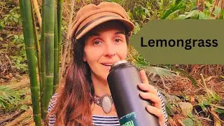 Lemongrass ~ Uses and Benefits