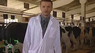 Российская империя. Александр II. Вологодское масло.