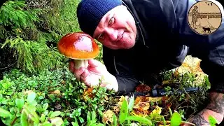 ПОХОД В ЛЕС .fishing,bushcraft,nature,camping.