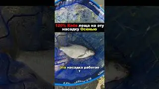 НАСАДКА На ОСЕННЕГО ЛЕЩА! #лещнафидер #рыбалка