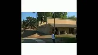 Сошёл с ума