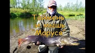 Таймень клюет на мышь  