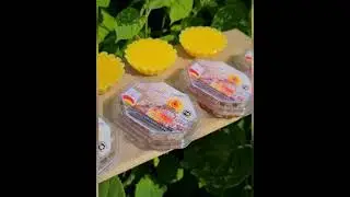 Виртуальная экскурсия