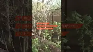 Забор из поликарбоната. Смотреть всем! #профзаборы #заборизполикарбоната
