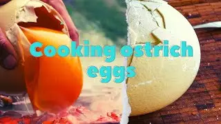 Cooking ostrich eggs