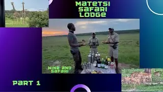 Part 1: A Great Safari Experience at Matetsi Safari Lodge