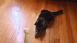 FroliCat Bolt Automatic Laser Toy For Cats для кошек