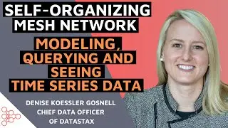 Querying and Seeing Time Series Data within a Self-Organizing Mesh Network