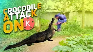 Crocodile Attack VFX With KineMaster | Crocodile ke saath video kaise banaen | Amazing VFX