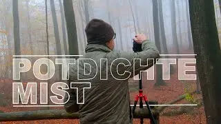 BOSFOTOGRAFIE in POTDICHTE MIST: de ene mooie foto opportuniteit na de andere...