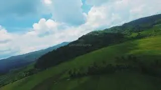 Amazing Cinematic Rice Field at Gardujaya Village