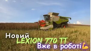 Lexion 770 в роботі‼️ збираємо ріпак LiDeA Ритмо