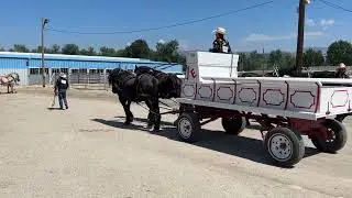 Western Idaho fair 2023